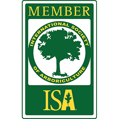 ISA member logo